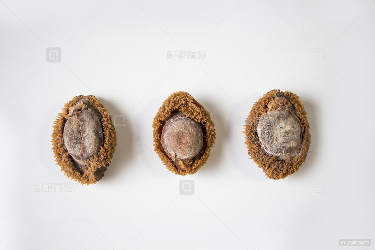 当鲍鱼遇见快干锤纹漆 一场关于时间与工业的迷思